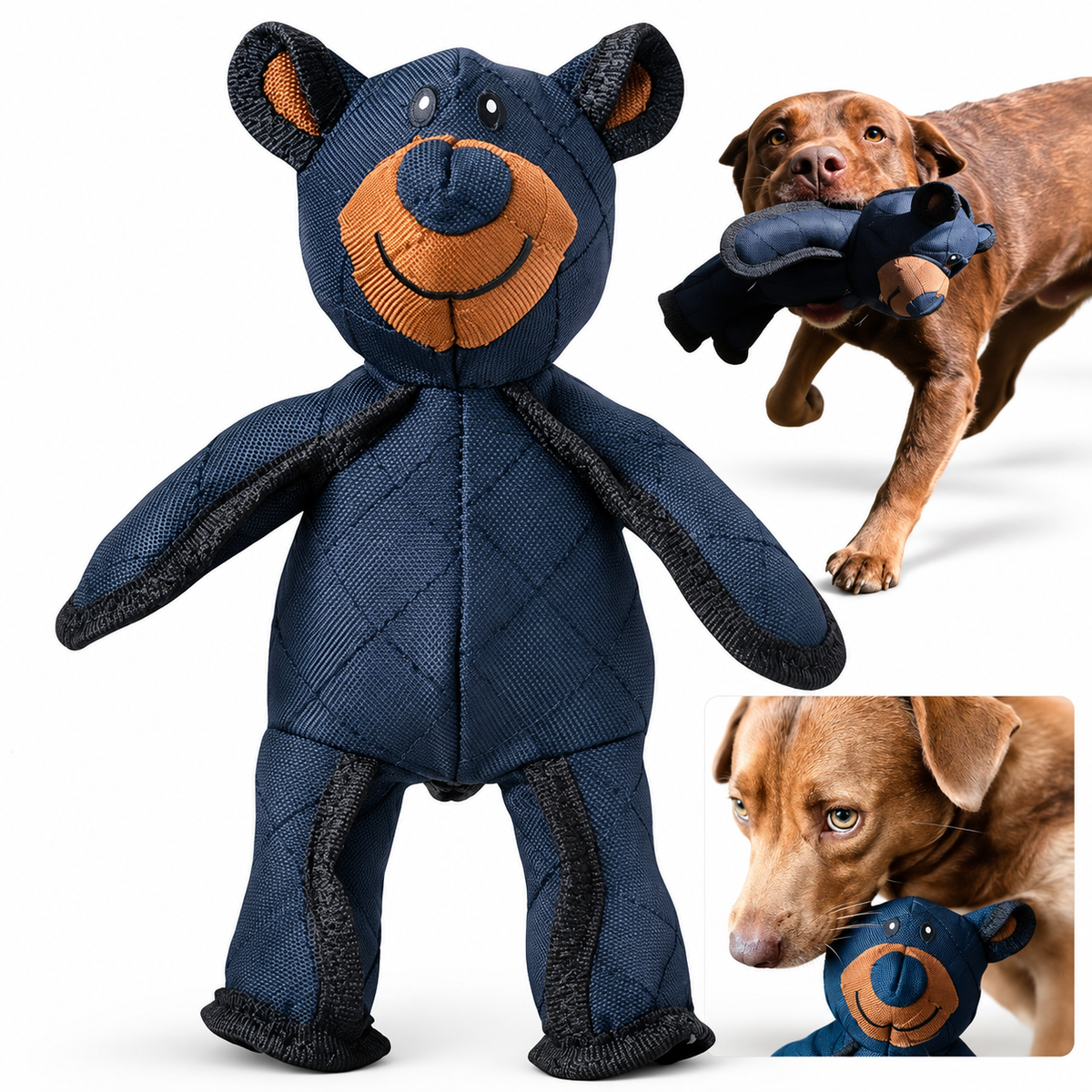 2026 New Bear Toys for Strong Chewers